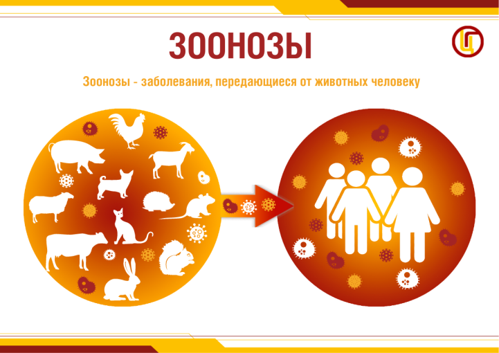 О профилактике природно-очаговых инфекций О профилактике природно-очаговых инфекций.